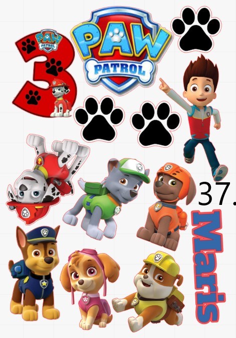 paw patrol set